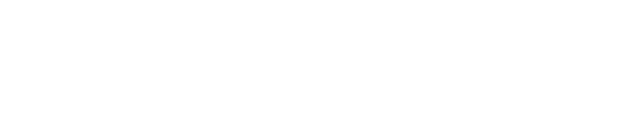FAW Car